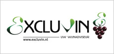 logo excluvin